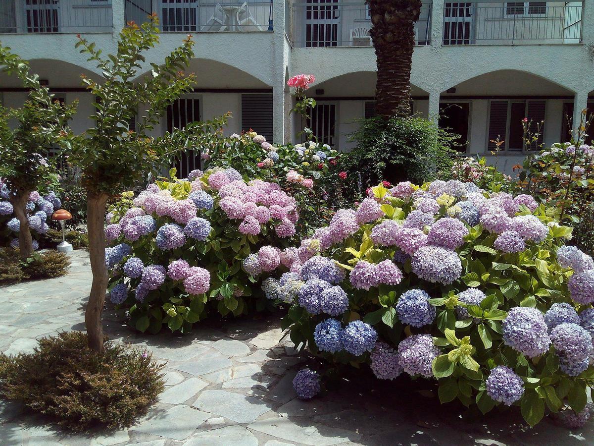 Margarita Apartments เปรเวซา ภายนอก รูปภาพ